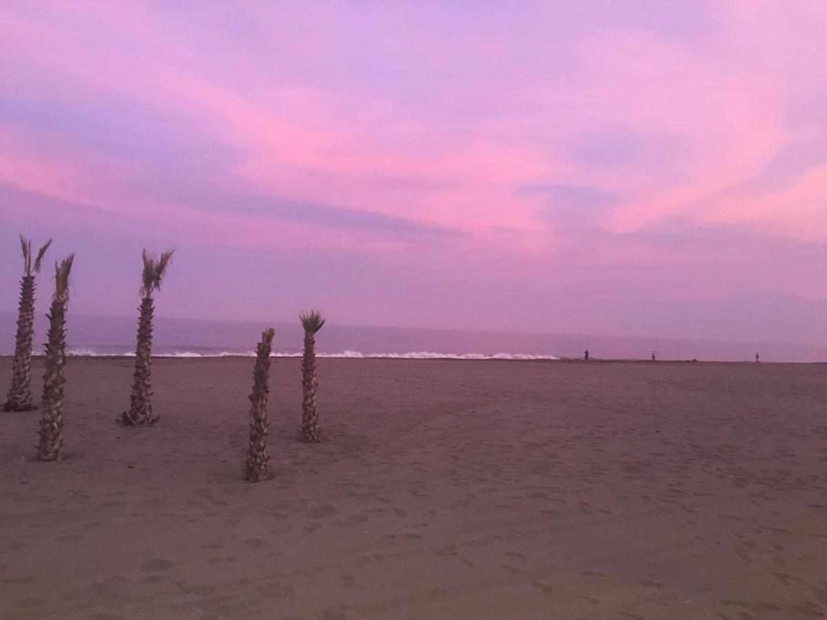 Chicflat San Roque Estepona Reformado En 2025 Eksteriør billede